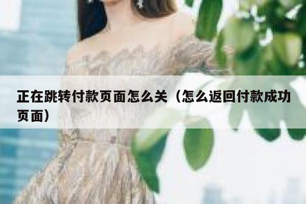 正在跳转付款页面怎么关（怎么返回付款成功页面） 第1张