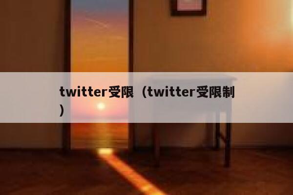 twitter受限（twitter受限制） 第1张