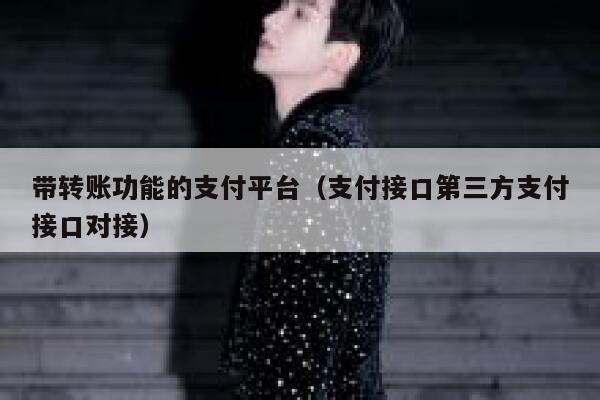带转账功能的支付平台（支付接口第三方支付接口对接） 第1张