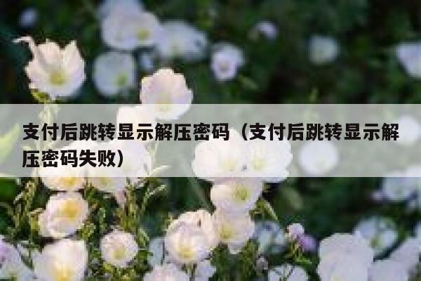 支付后跳转显示解压密码（支付后跳转显示解压密码失败） 第1张
