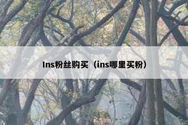 Ins粉丝购买(ins哪里买粉) 第1张 Ins粉丝购买(ins哪里买粉) 第1张
