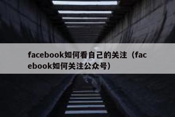 facebook如何看自己的关注（facebook如何关注公众号） 第1张