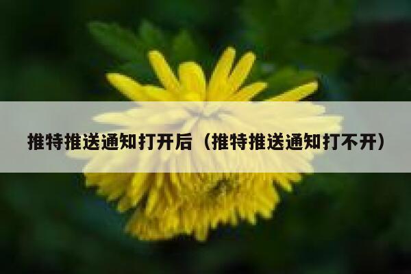 推特推送通知打开后（推特推送通知打不开） 第1张