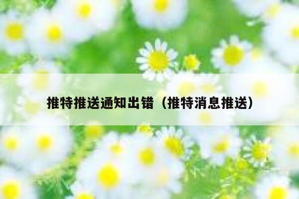 推特推送通知出错（推特消息推送） 第1张