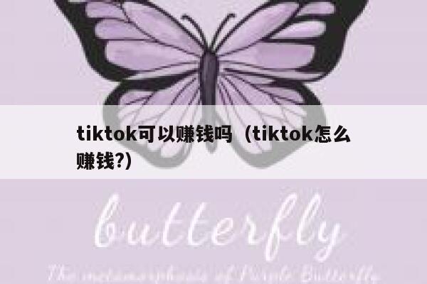 tiktok可以赚钱吗(tiktok怎么赚钱?) 第1张 tiktok可以赚钱吗(tiktok怎么赚钱?) 第1张