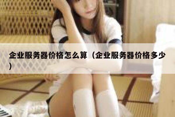 企业服务器价格怎么算（企业服务器价格多少） 第1张