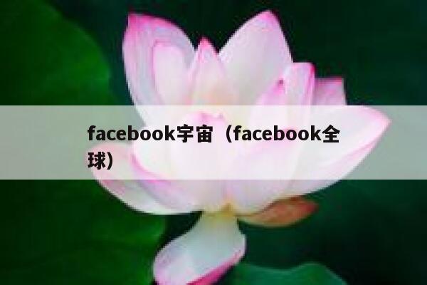 facebook宇宙(facebook全球) 第1张 facebook宇宙(facebook全球) 第1张