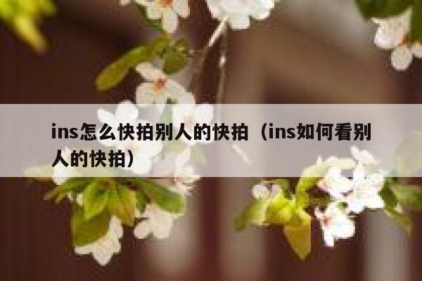 ins怎么快拍别人的快拍(ins如何看别人的快拍) 第1张 ins怎么快拍别人的快拍(ins如何看别人的快拍) 第1张
