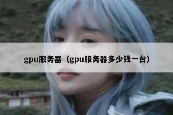 gpu服务器(gpu服务器多少钱一台) 第1张 gpu服务器(gpu服务器多少钱一台) 第1张