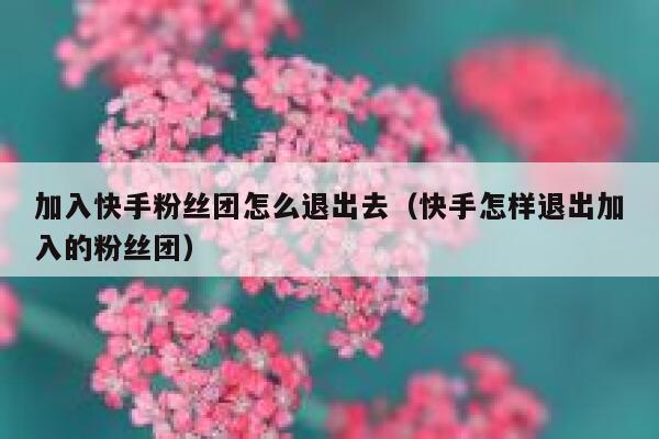 加入快手粉丝团怎么退出去（快手怎样退出加入的粉丝团） 第1张