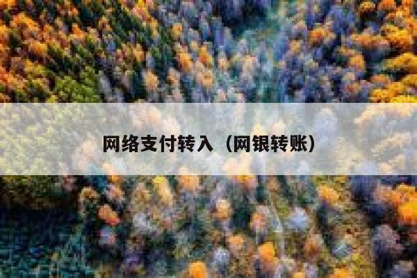 网络支付转入（网银转账） 第1张