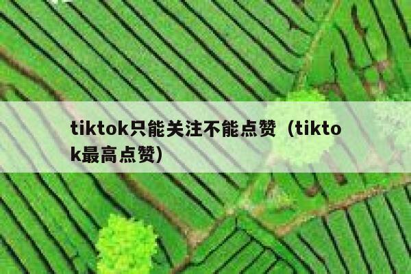 tiktok只能关注不能点赞（tiktok最高点赞） 第1张
