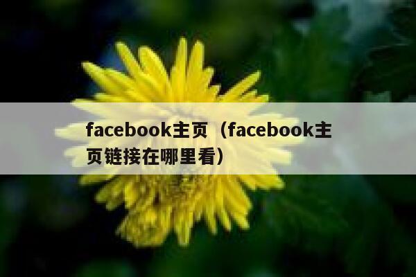facebook主页（facebook主页链接在哪里看） 第1张