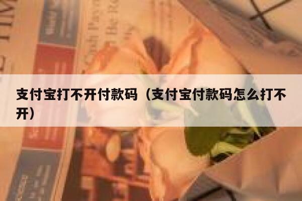 支付宝打不开付款码（支付宝付款码怎么打不开） 第1张