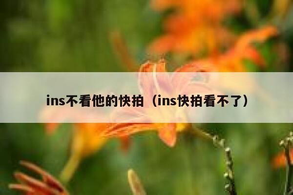 ins不看他的快拍（ins快拍看不了） 第1张
