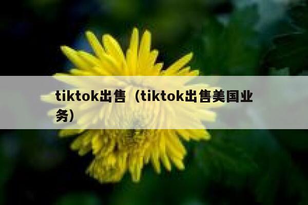 tiktok出售（tiktok出售美国业务） 第1张
