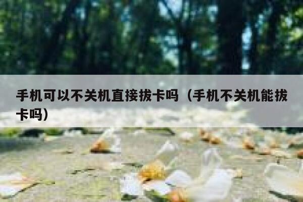 手机可以不关机直接拔卡吗（手机不关机能拔卡吗） 第1张