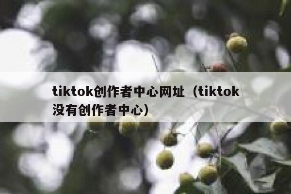 tiktok创作者中心网址（tiktok没有创作者中心） 第1张