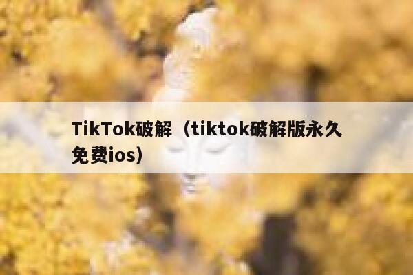 TikTok破解（tiktok破解版永久免费ios） 第1张