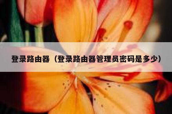 登录路由器（登录路由器管理员密码是多少） 第1张