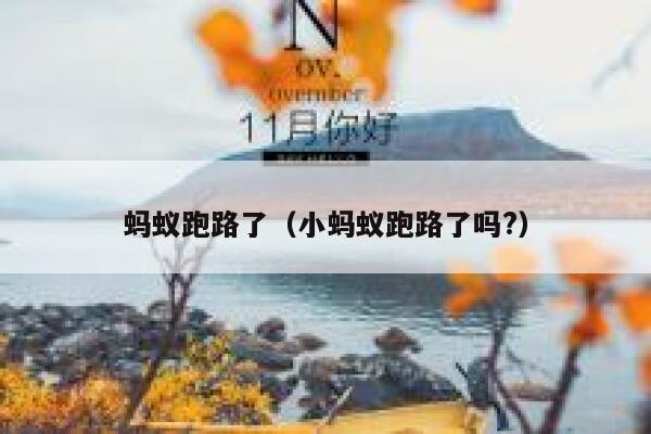 蚂蚁跑路了（小蚂蚁跑路了吗?） 第1张