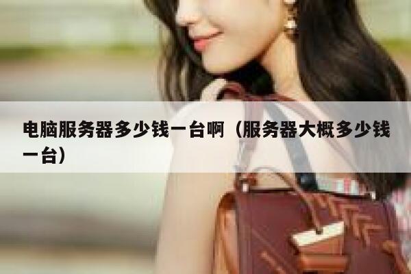电脑服务器多少钱一台啊(服务器大概多少钱一台) 第1张 电脑服务器多少钱一台啊(服务器大概多少钱一台) 第1张