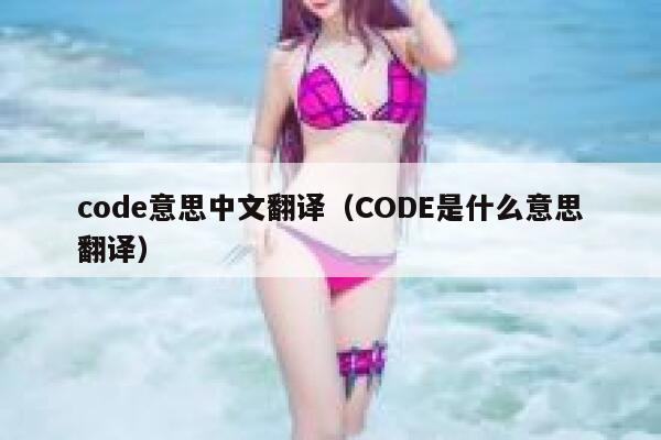 code意思中文翻译（CODE是什么意思翻译） 第1张