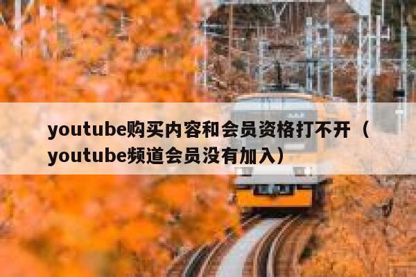 youtube购买内容和会员资格打不开（youtube频道会员没有加入） 第1张