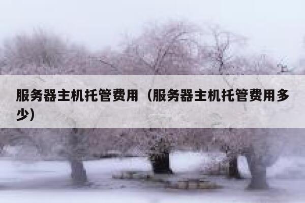 服务器主机托管费用（服务器主机托管费用多少） 第1张