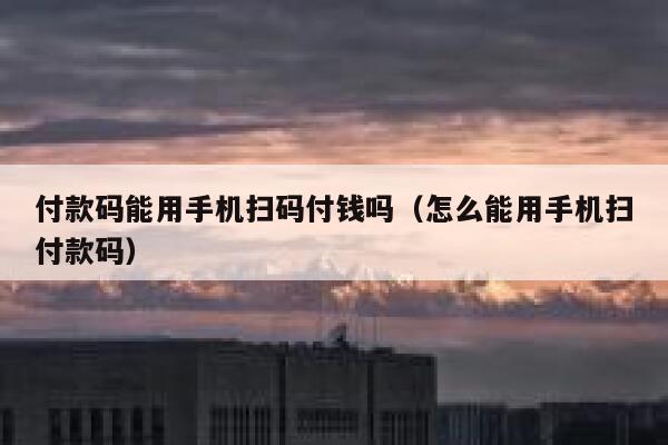付款码能用手机扫码付钱吗（怎么能用手机扫付款码） 第1张