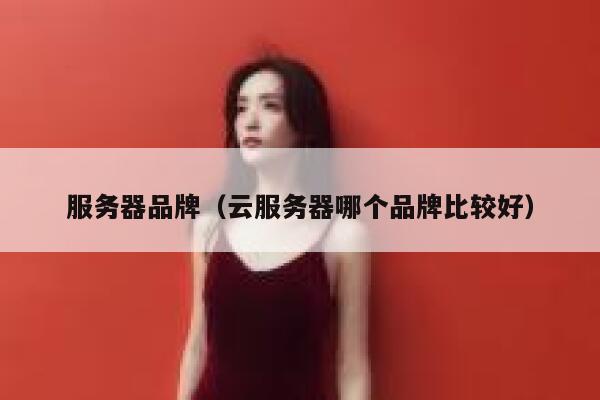 服务器品牌（云服务器哪个品牌比较好） 第1张