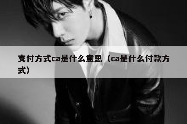 支付方式ca是什么意思（ca是什么付款方式） 第1张
