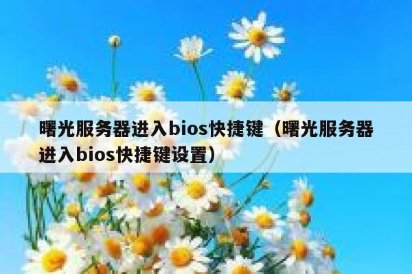曙光服务器进入bios快捷键（曙光服务器进入bios快捷键设置） 第1张