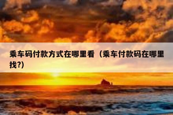 乘车码付款方式在哪里看（乘车付款码在哪里找?） 第1张