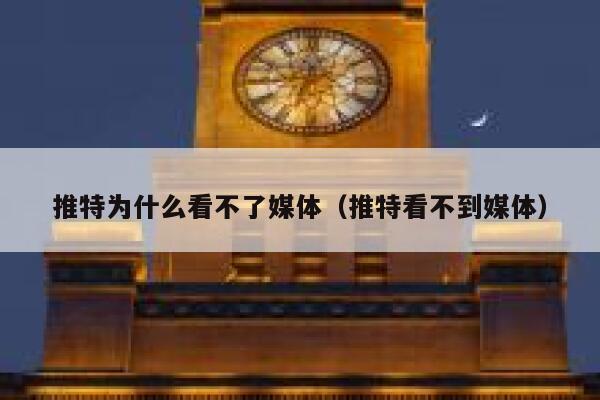 推特为什么看不了媒体（推特看不到媒体） 第1张