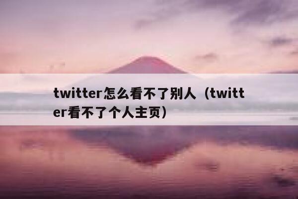 twitter怎么看不了别人（twitter看不了个人主页） 第1张