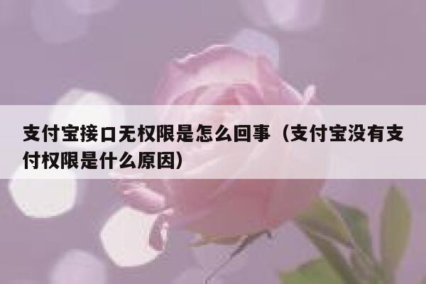 支付宝接口无权限是怎么回事（支付宝没有支付权限是什么原因） 第1张