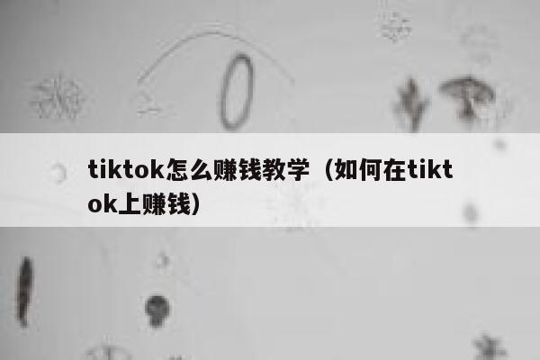 tiktok怎么赚钱教学（如何在tiktok上赚钱） 第1张