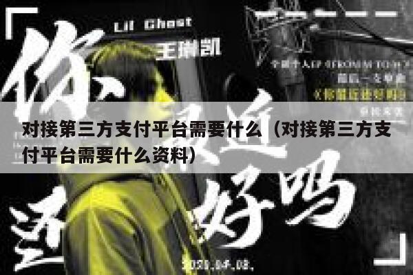 对接第三方支付平台需要什么（对接第三方支付平台需要什么资料） 第1张