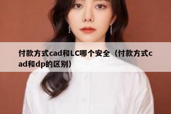 付款方式cad和LC哪个安全（付款方式cad和dp的区别） 第1张
