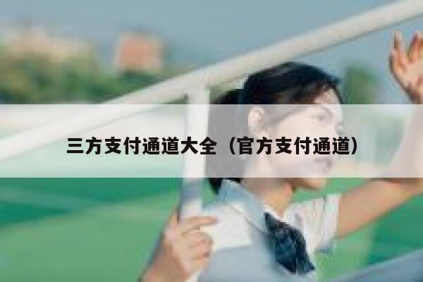 三方支付通道大全（官方支付通道） 第1张
