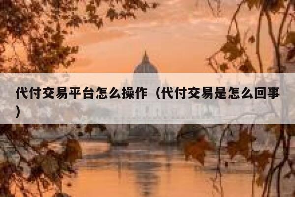 代付交易平台怎么操作（代付交易是怎么回事） 第1张