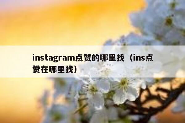 instagram点赞的哪里找（ins点赞在哪里找） 第1张