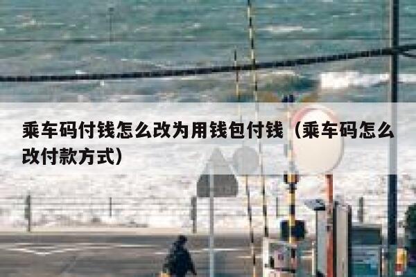 乘车码付钱怎么改为用钱包付钱（乘车码怎么改付款方式） 第1张