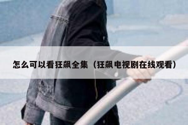 怎么可以看狂飙全集（狂飙电视剧在线观看） 第1张