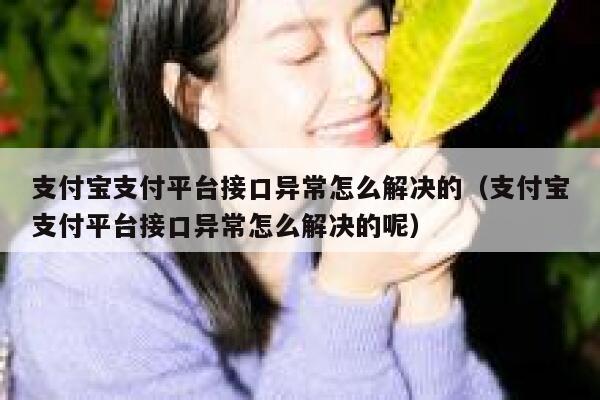 支付宝支付平台接口异常怎么解决的(支付宝支付平台接口异常怎么解决的呢) 第1张 支付宝支付平台接口异常怎么解决的(支付宝支付平台接口异常怎么解决的呢) 第1张