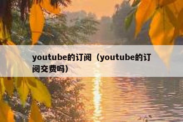 youtube的订阅（youtube的订阅交费吗） 第1张