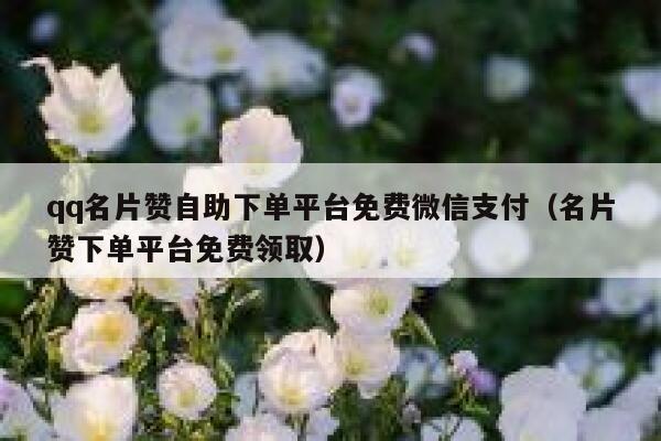 qq名片赞自助下单平台免费微信支付(名片赞下单平台免费领取) 第1张 qq名片赞自助下单平台免费微信支付(名片赞下单平台免费领取) 第1张