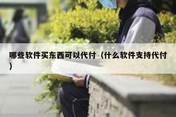 哪些软件买东西可以代付(什么软件支持代付) 第1张 哪些软件买东西可以代付(什么软件支持代付) 第1张