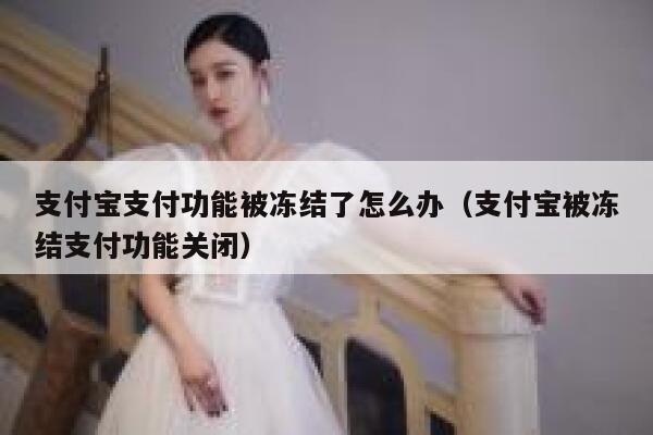 支付宝支付功能被冻结了怎么办（支付宝被冻结支付功能关闭） 第1张